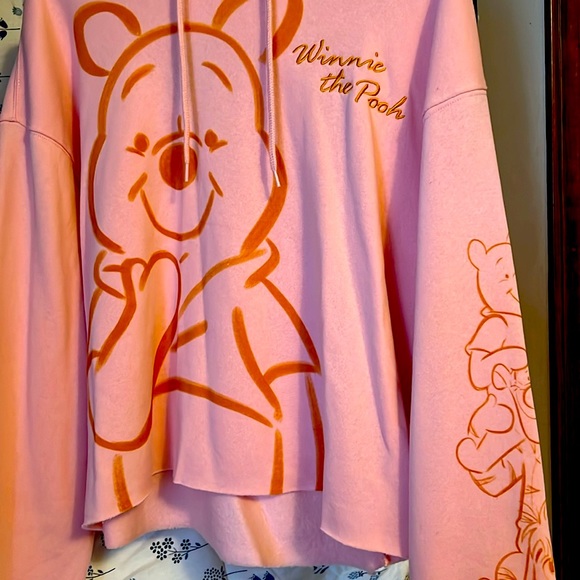 Winnie the Pooh Pink Hoodie - Picture 1 of 7